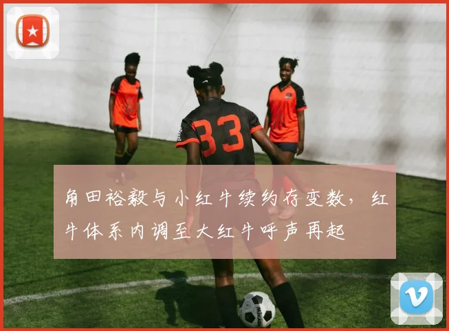 角田裕毅与小红牛续约存变数，红牛体系内调至大红牛呼声再起